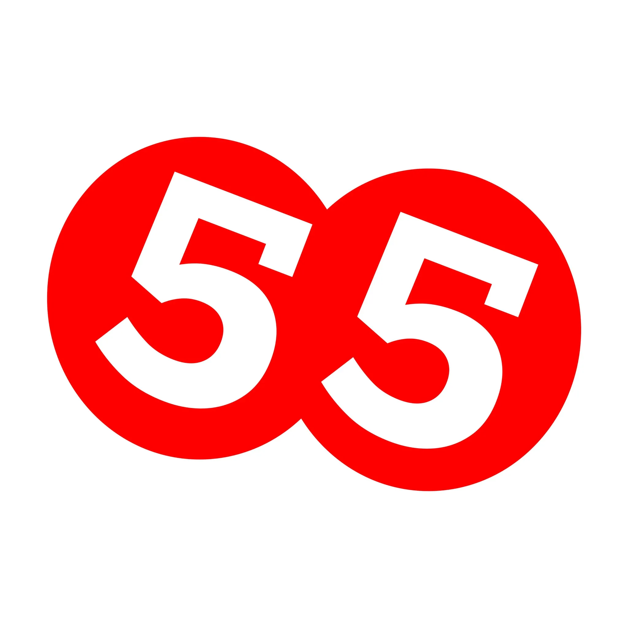 55FIVE - Petualangan Seru di Dunia Terbuka